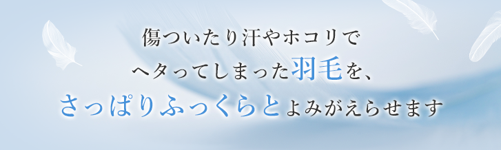 傷ついたり汗やホコリでヘタってしまった羽毛を、さっぱりふっくらとよみがえらせます